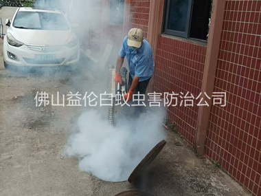 芦苞环境蟑螂消杀工程
